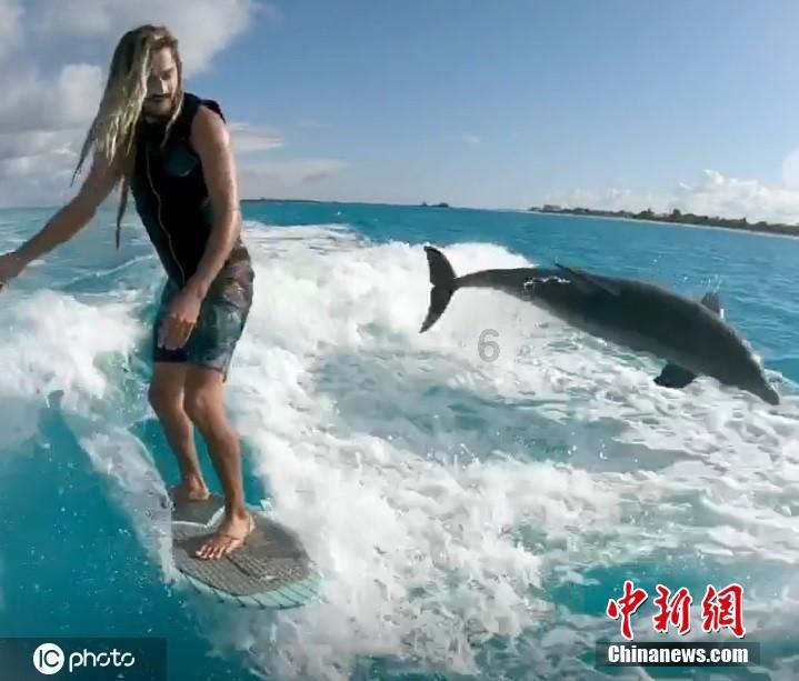 豆角炒什么好吃?游戏画面